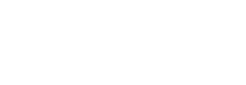 Saurus Constructions